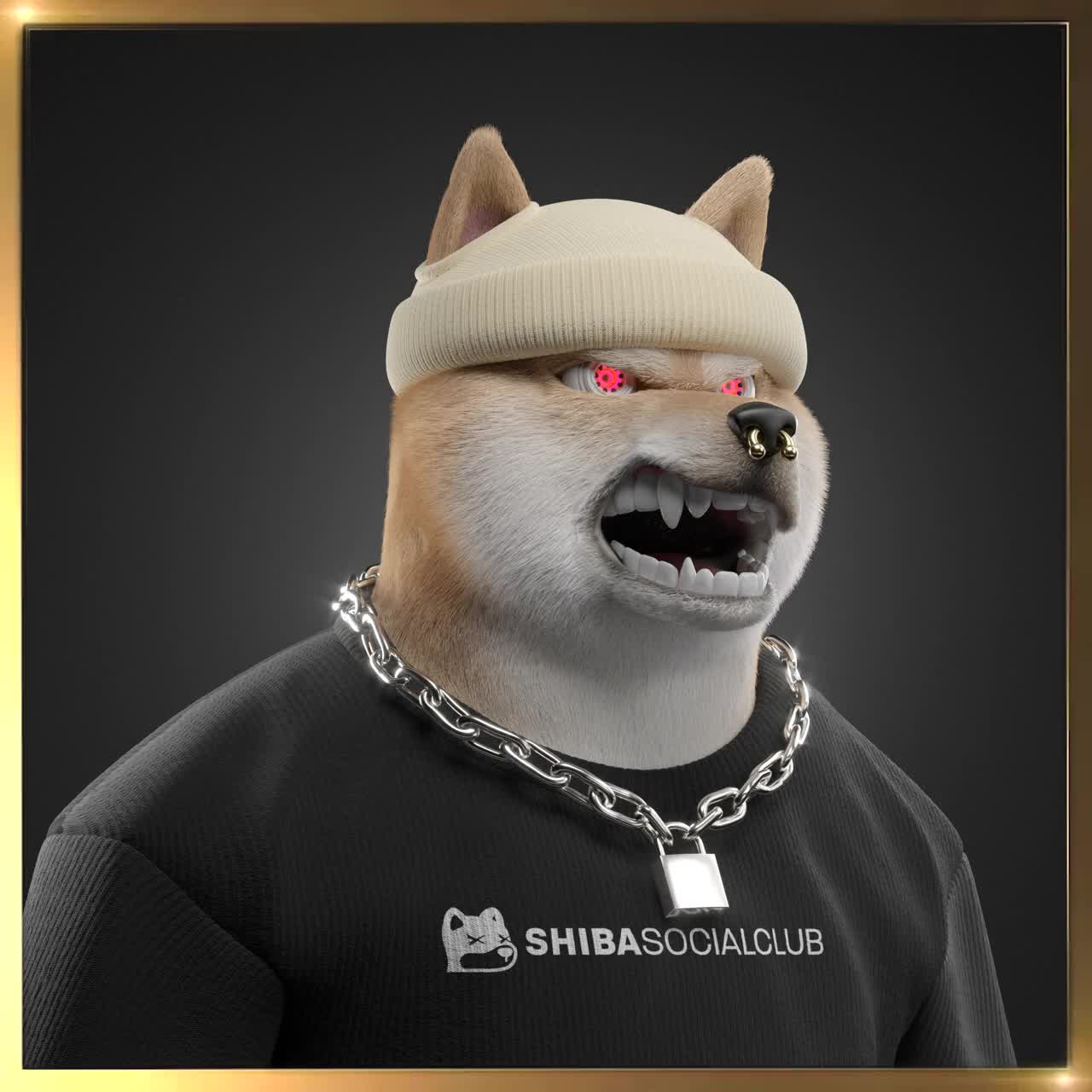 Shiba #6259