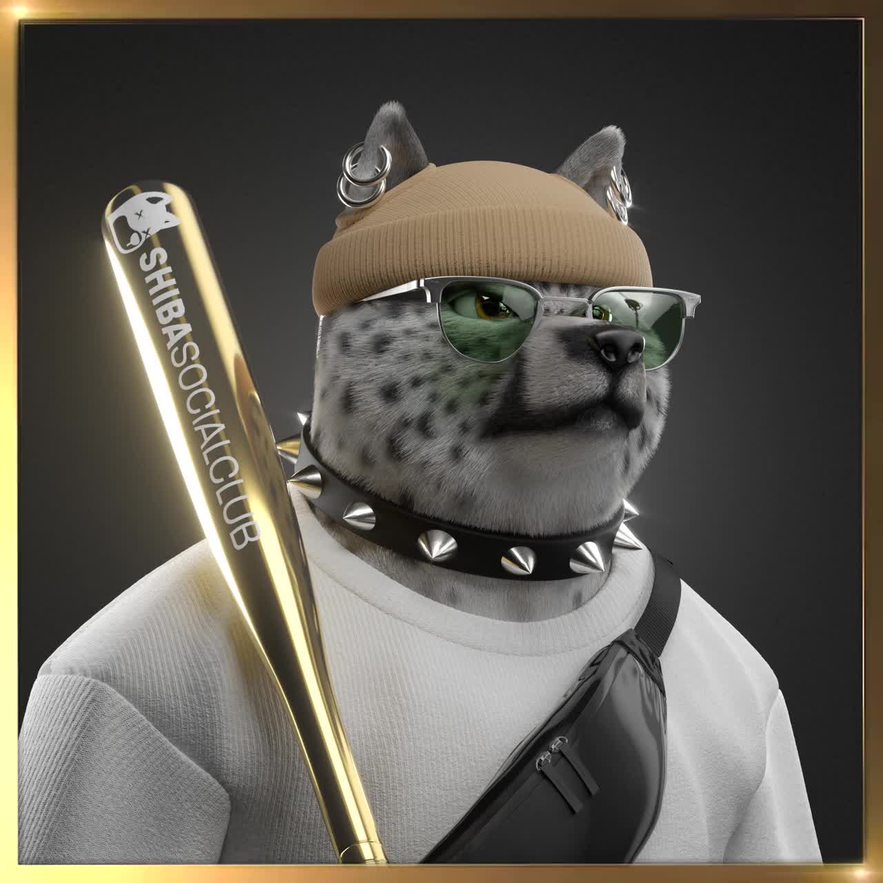 Shiba #6298