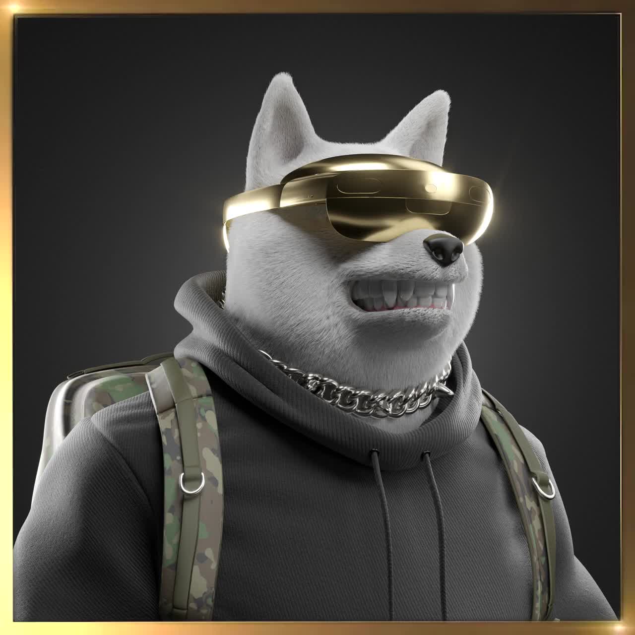 Shiba #6317