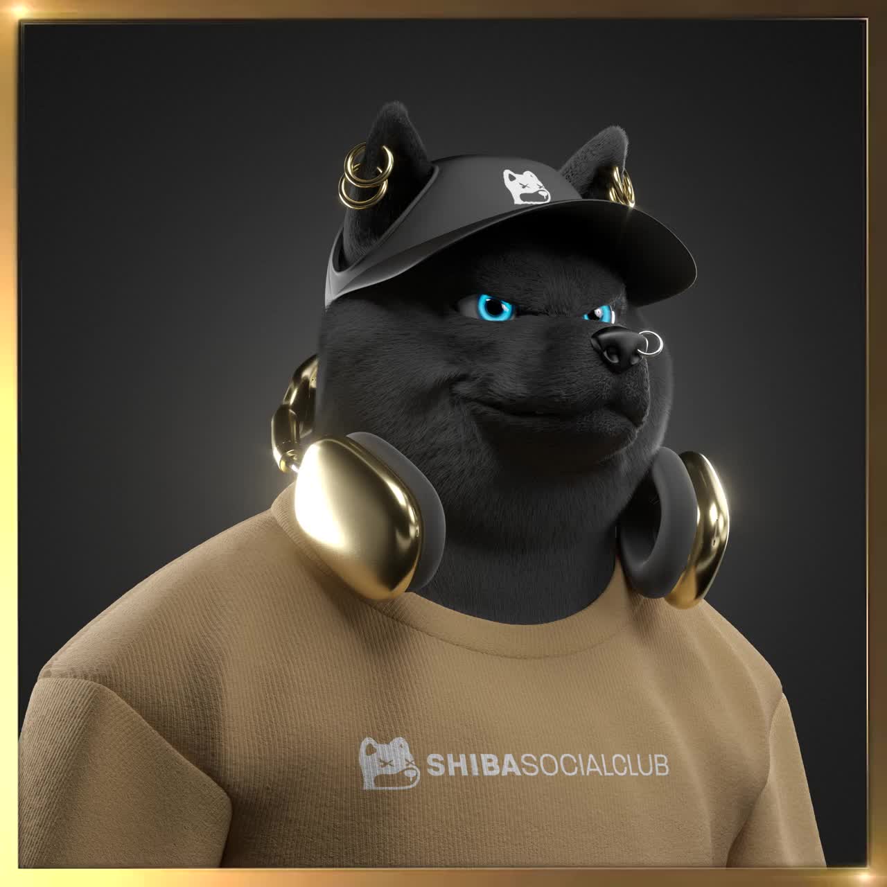 Shiba #6329