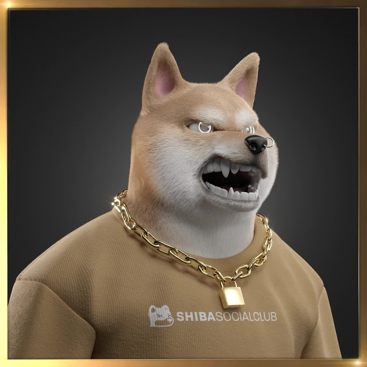 Shiba #6360