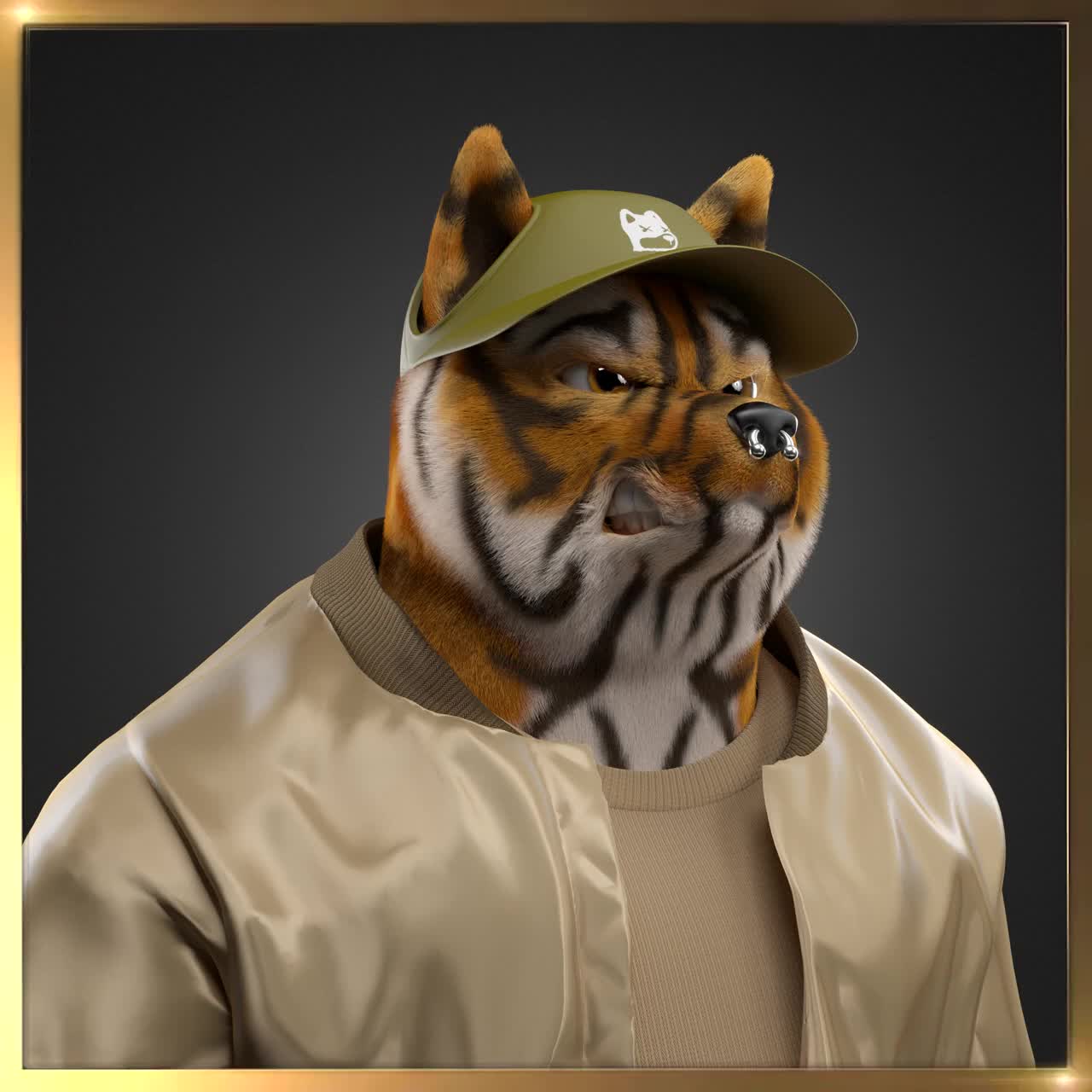 Shiba #6362