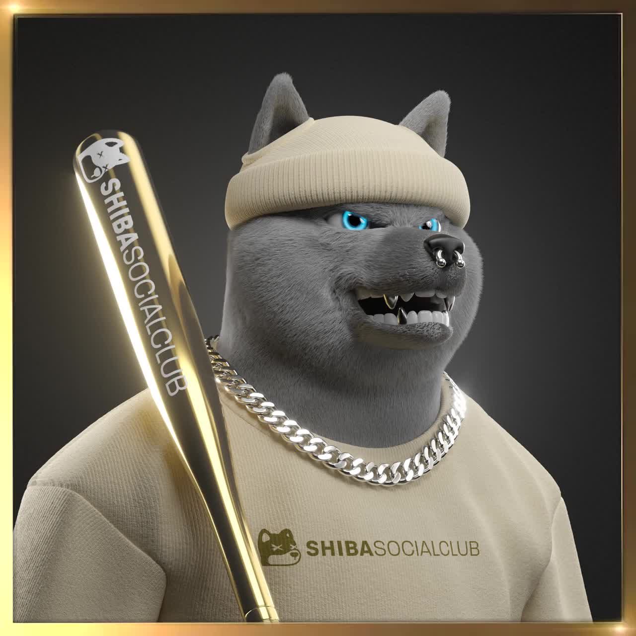 Shiba #6385