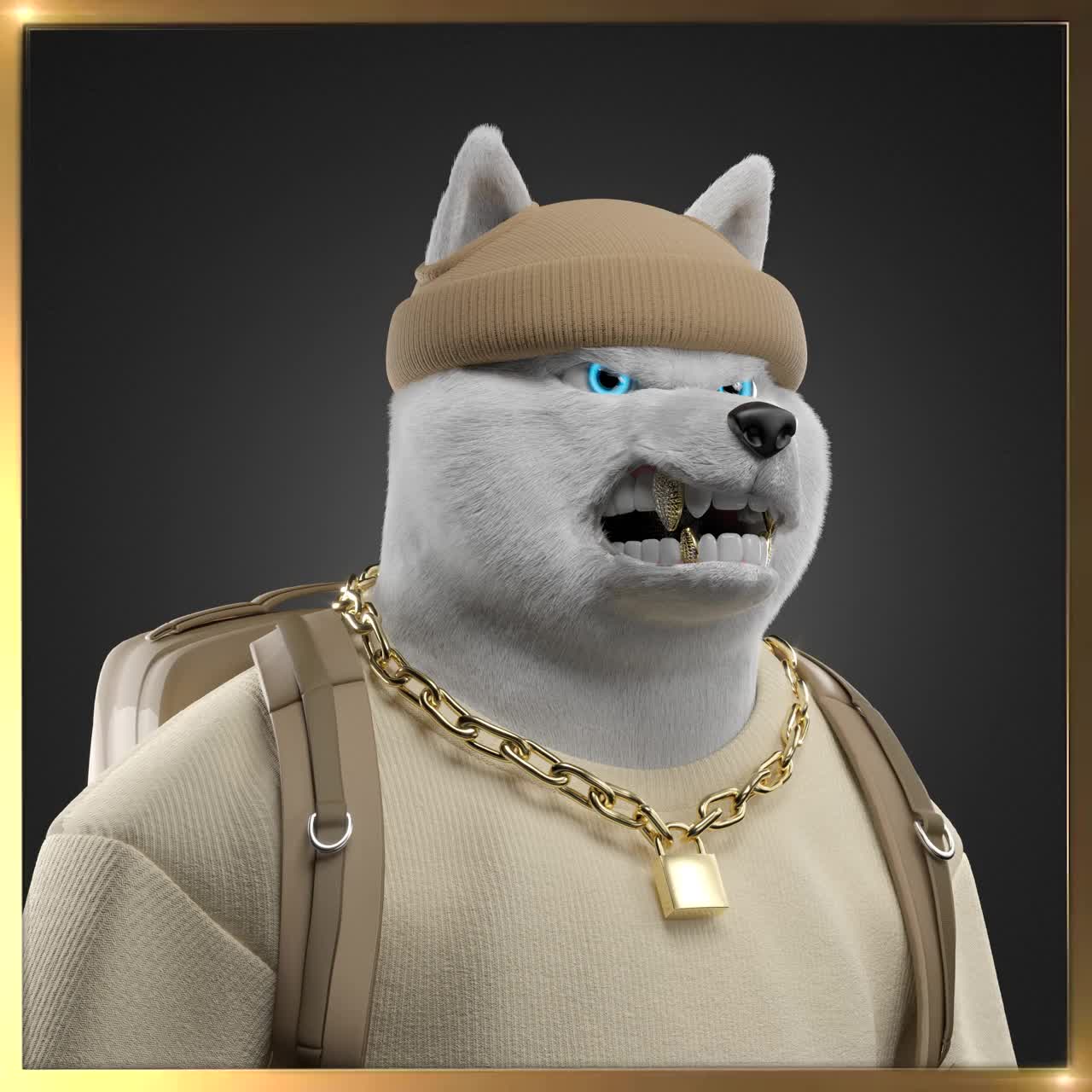 Shiba #6398