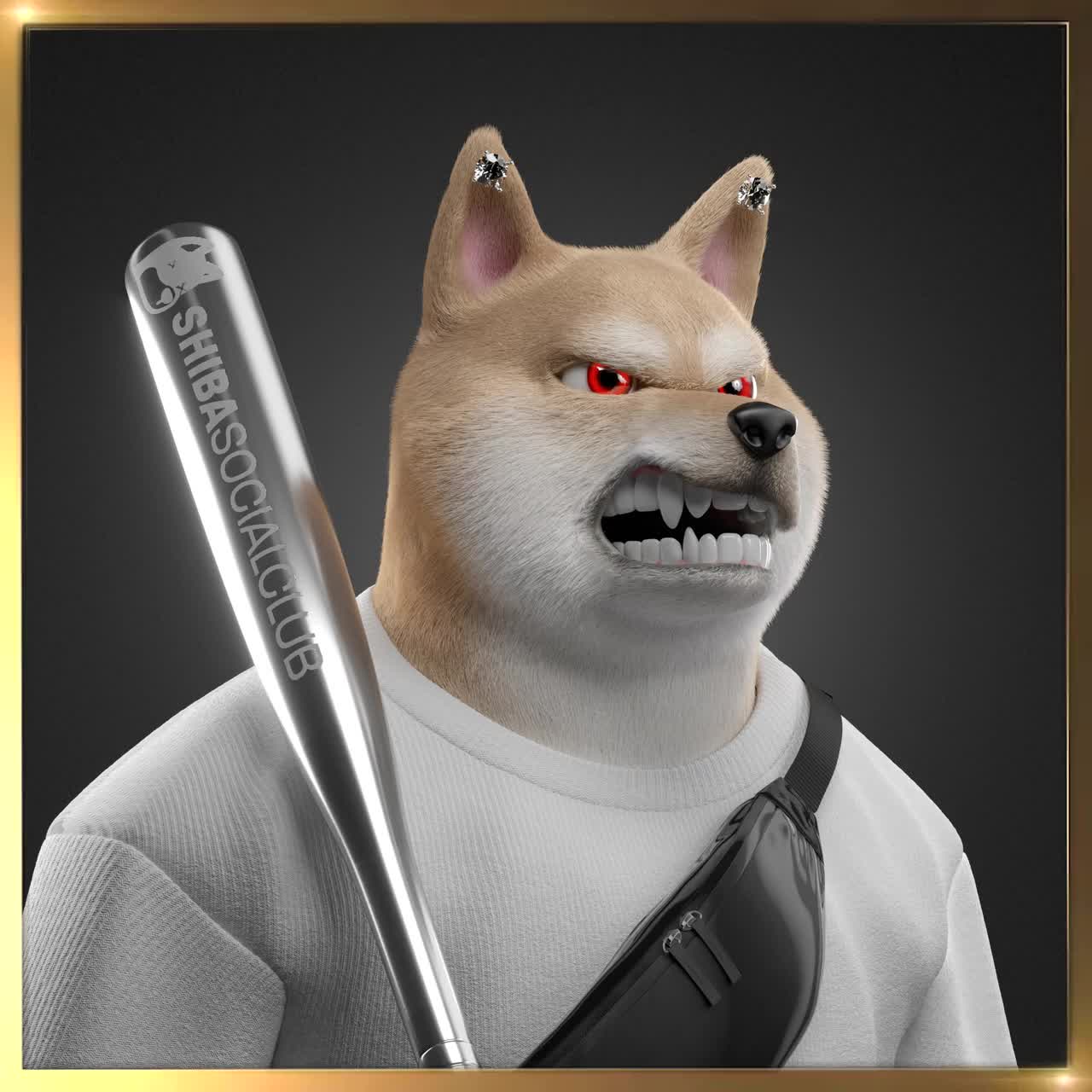 Shiba #6410