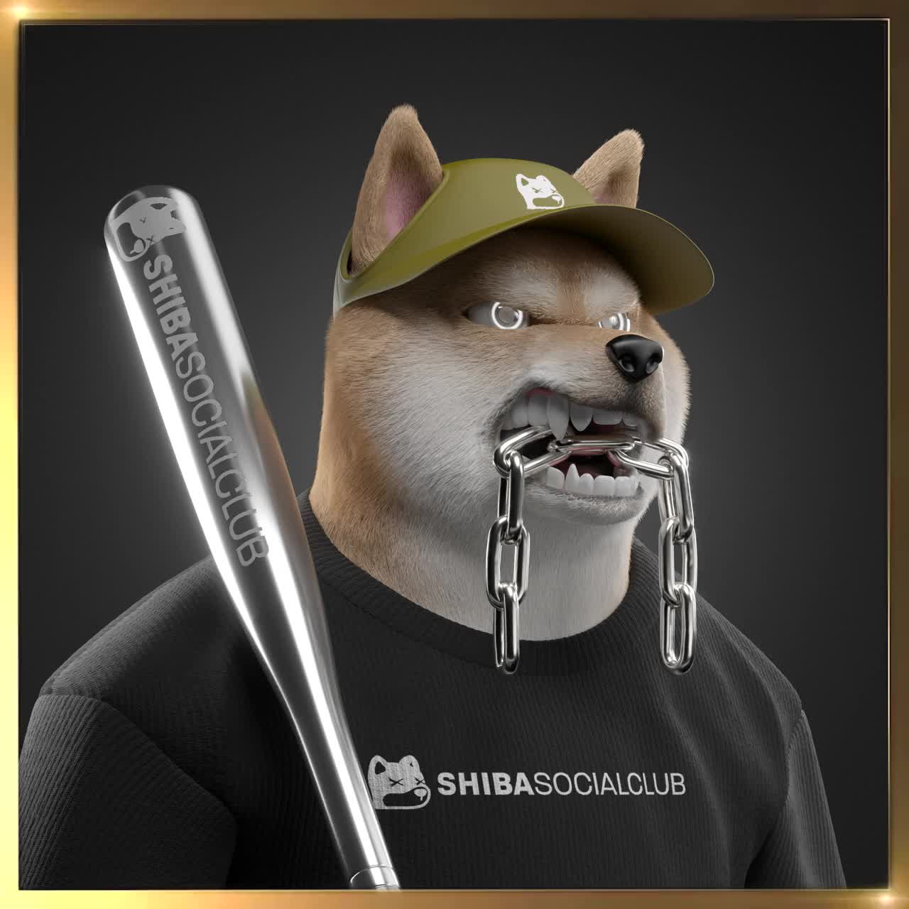 Shiba #6426