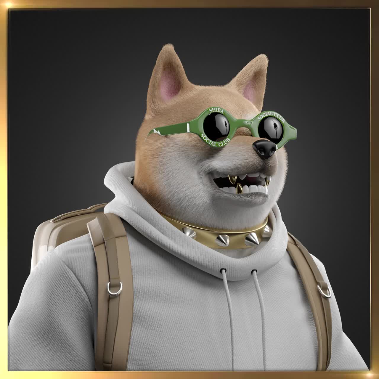 Shiba #6431