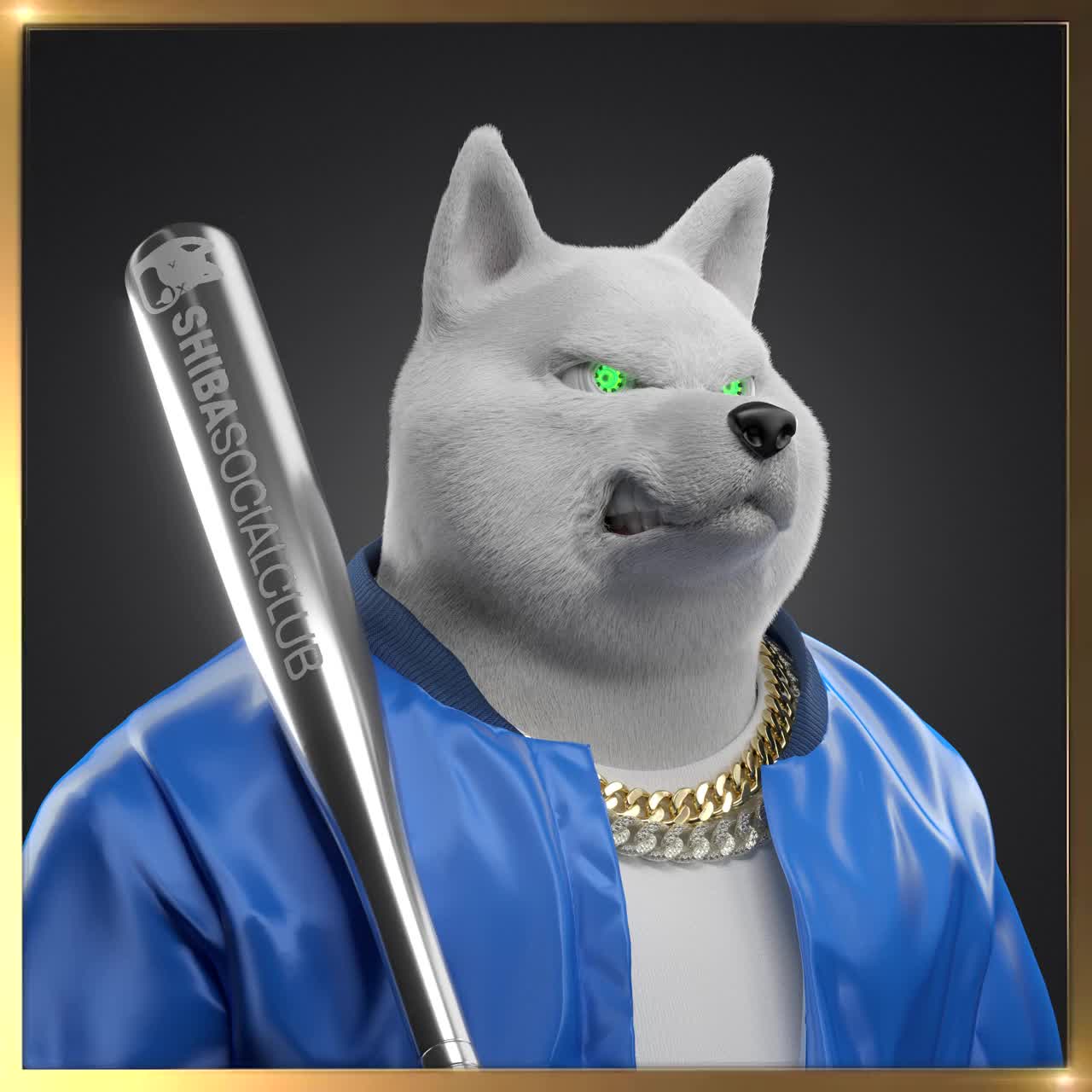Shiba #6434