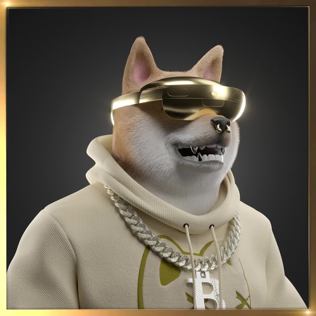 Shiba #6466