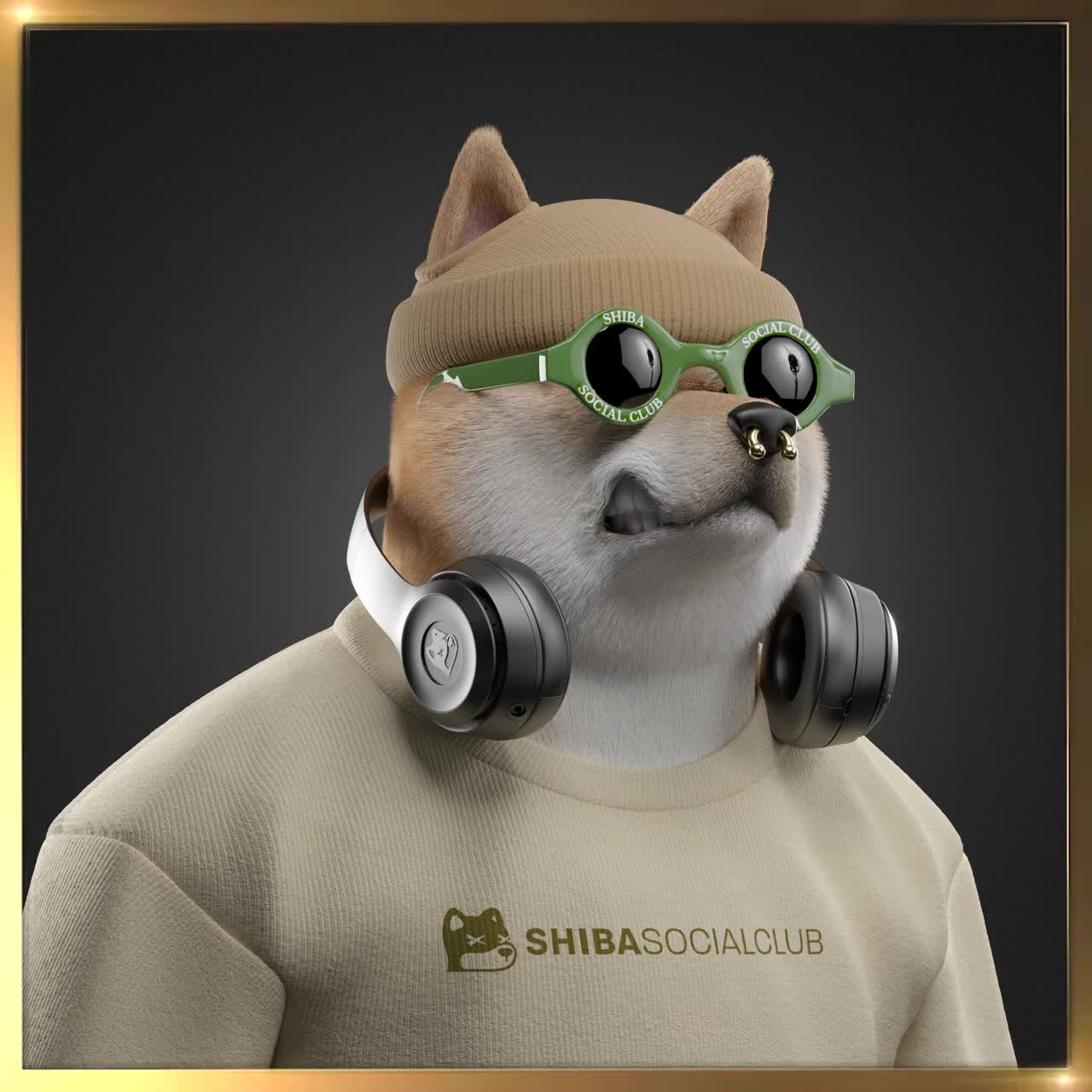 Shiba #6483