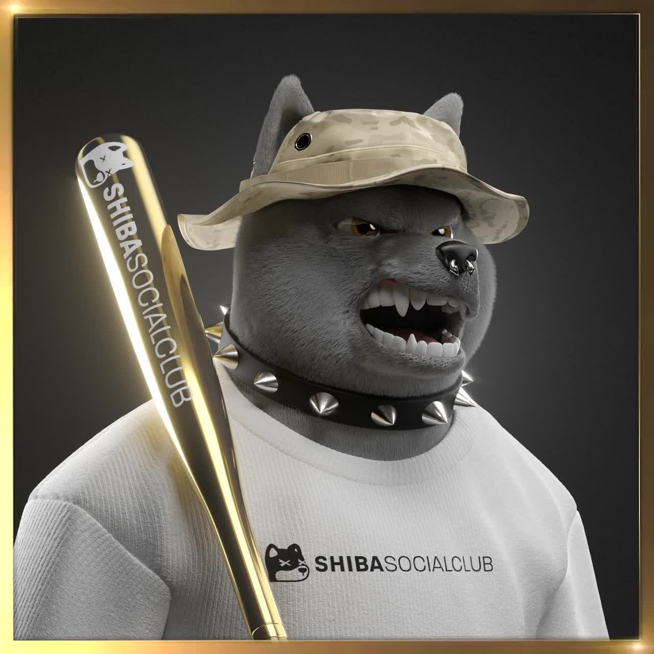 Shiba #6484