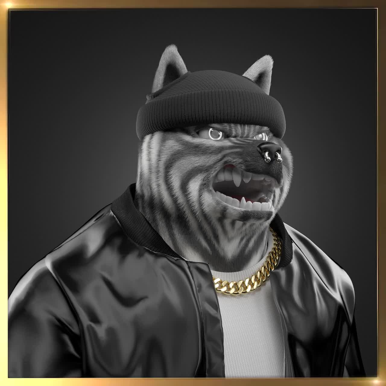 Shiba #6496
