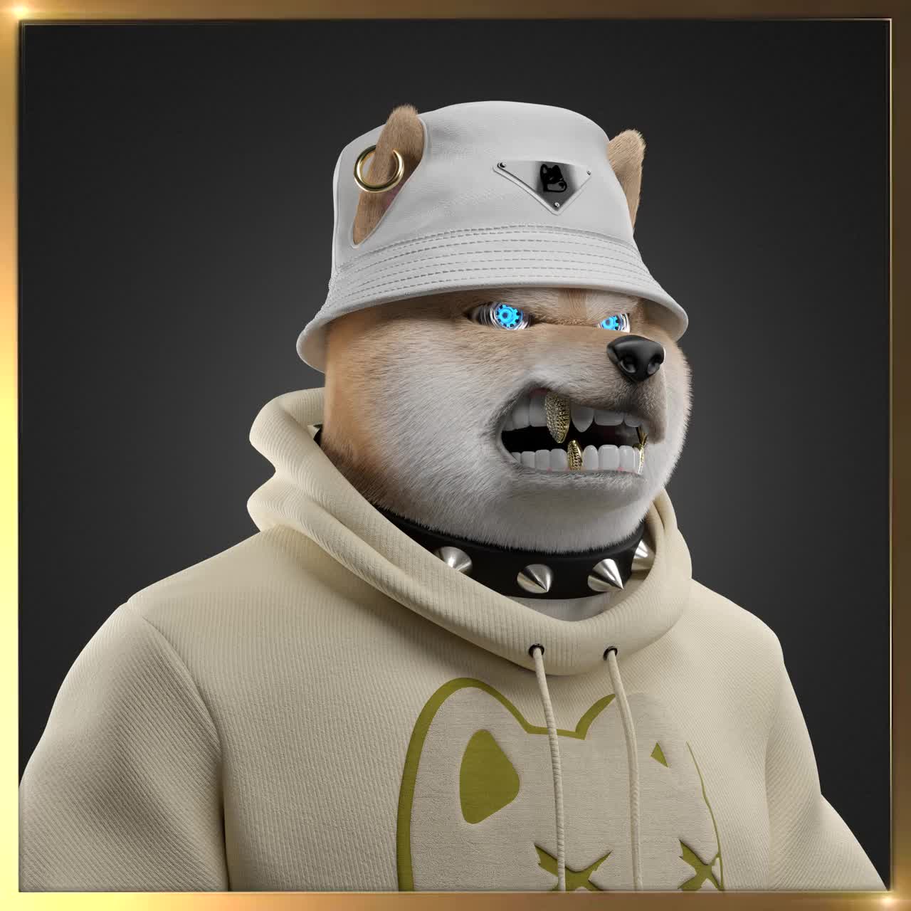 Shiba #6498
