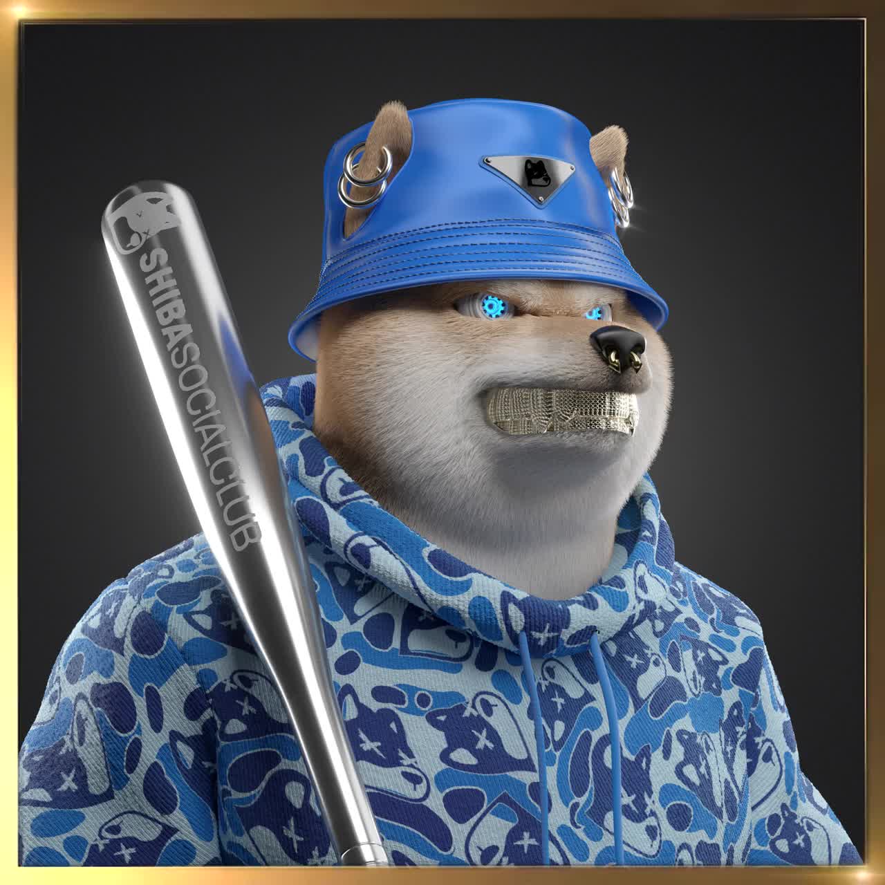 Shiba #6504