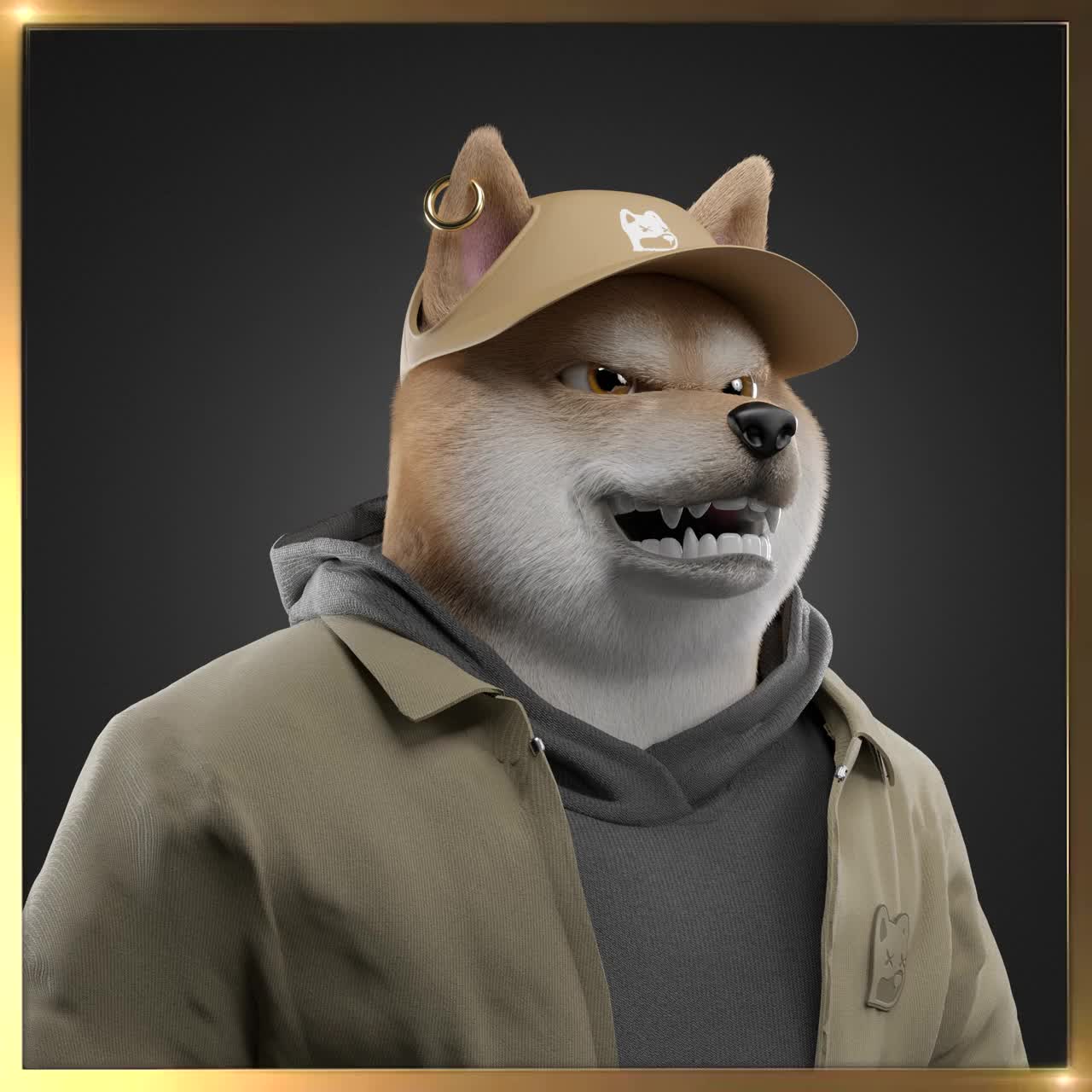 Shiba #6537