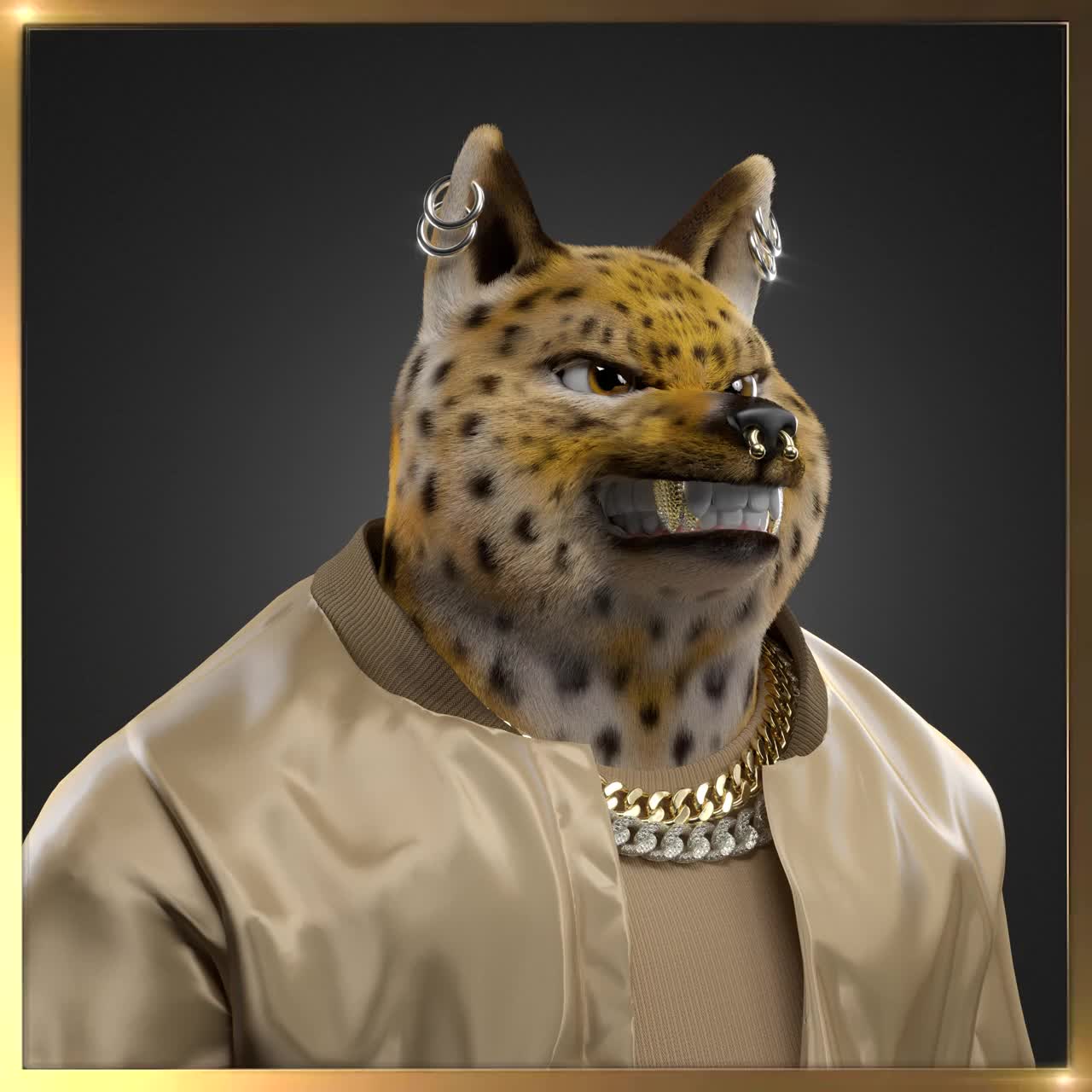 Shiba #6558