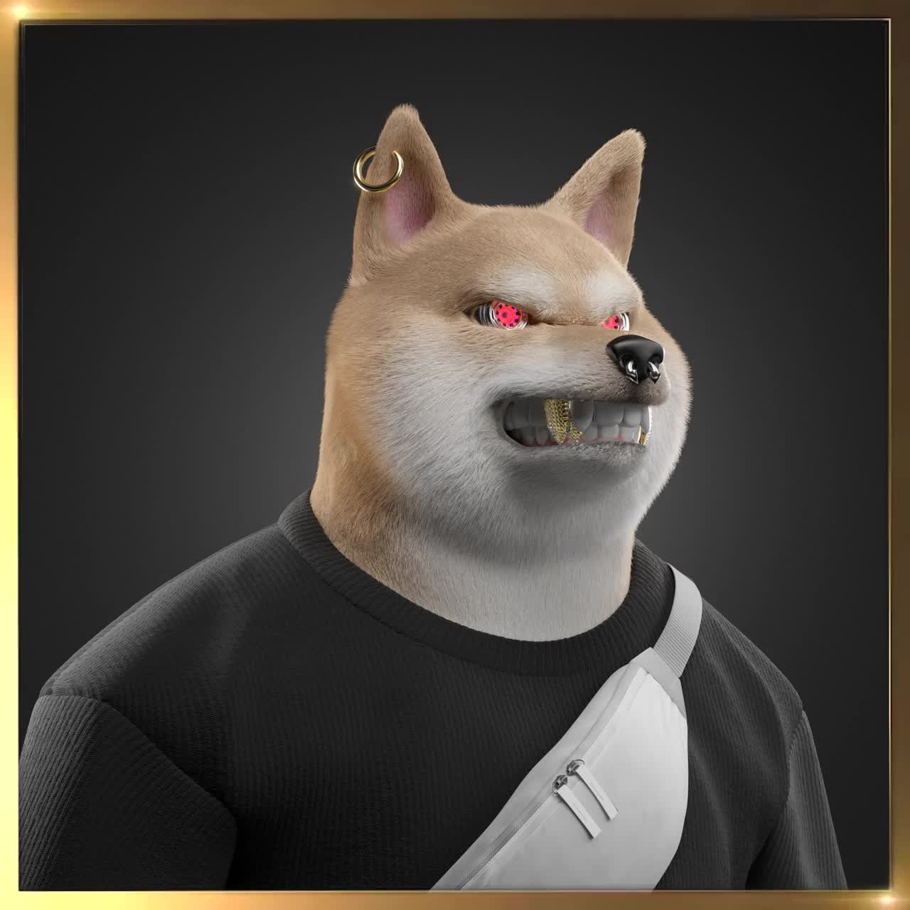 Shiba #6601