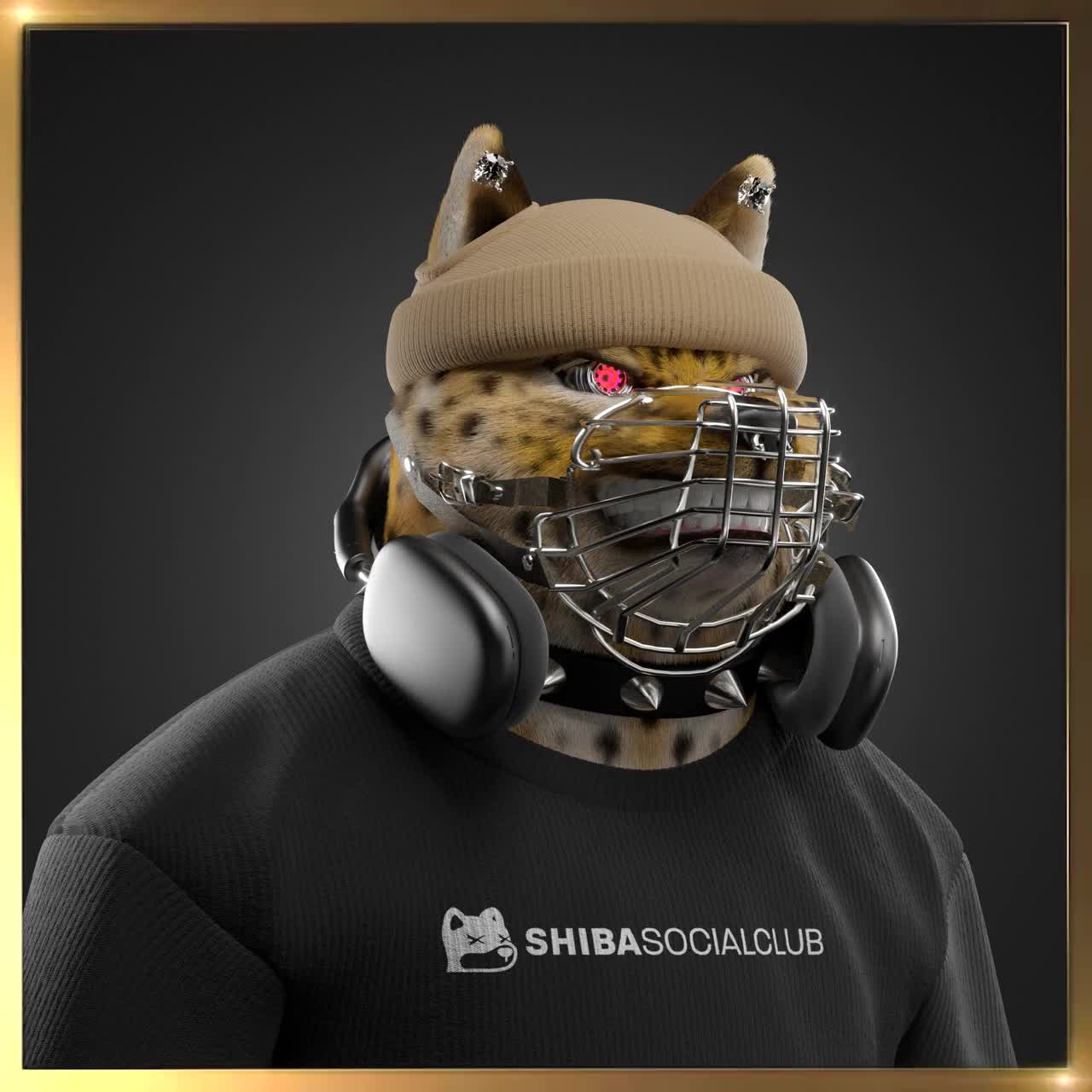 Shiba #6610
