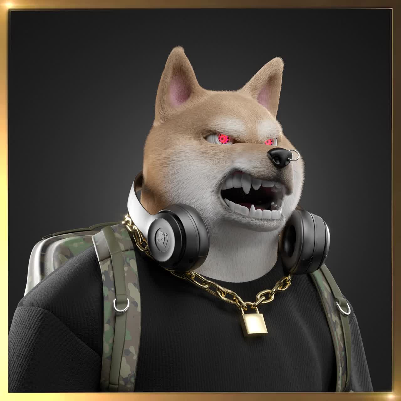 Shiba #6617