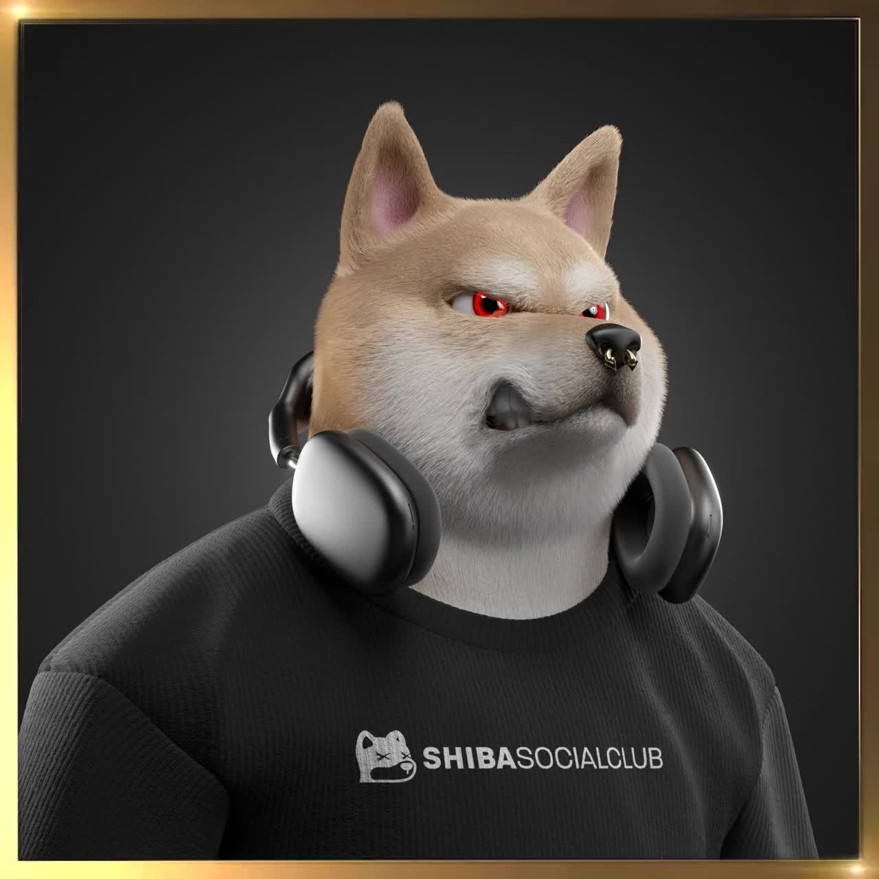 Shiba #6652