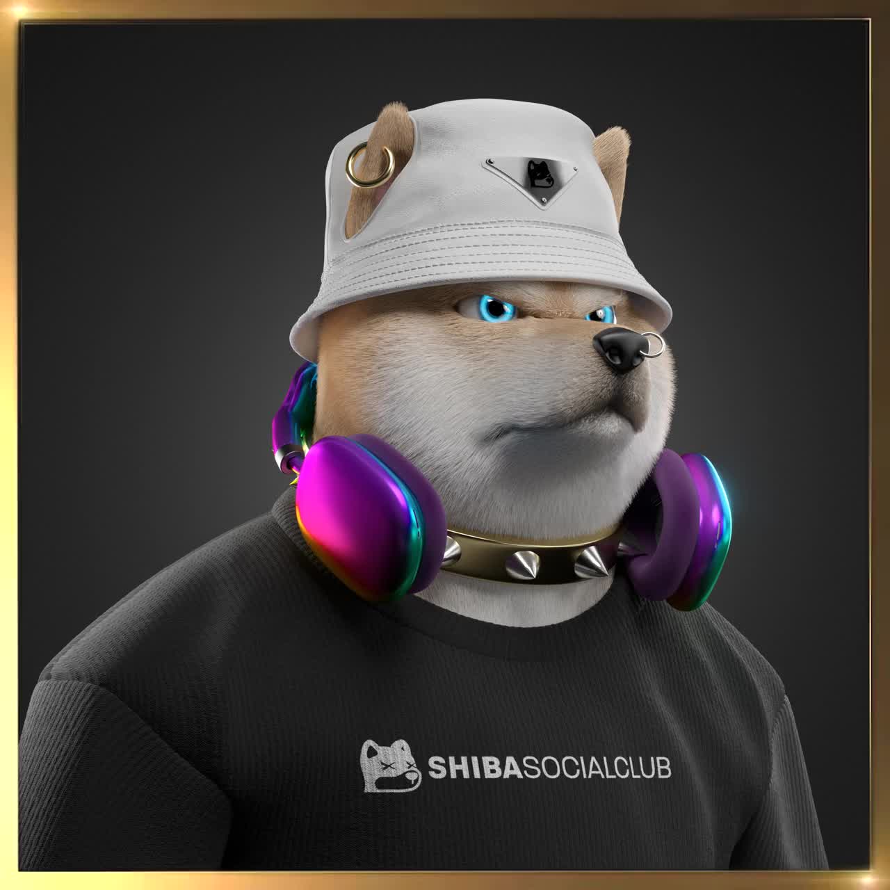Shiba #6720