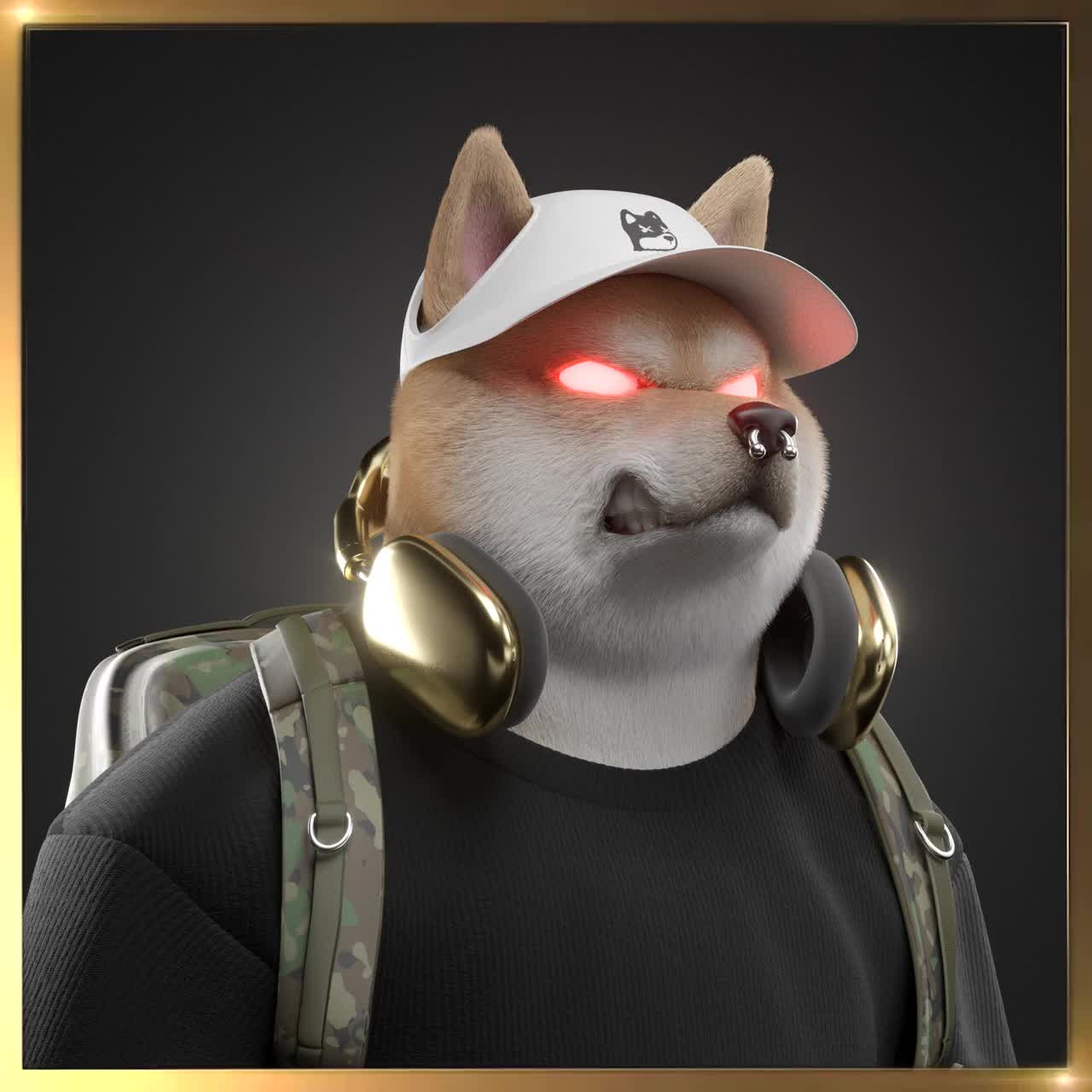 Shiba #6732