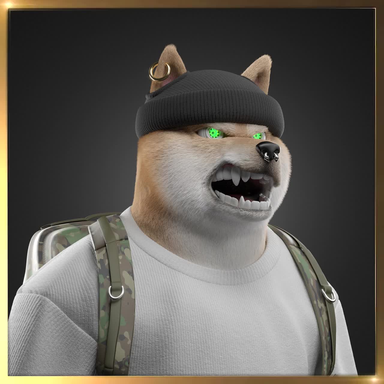 Shiba #6760