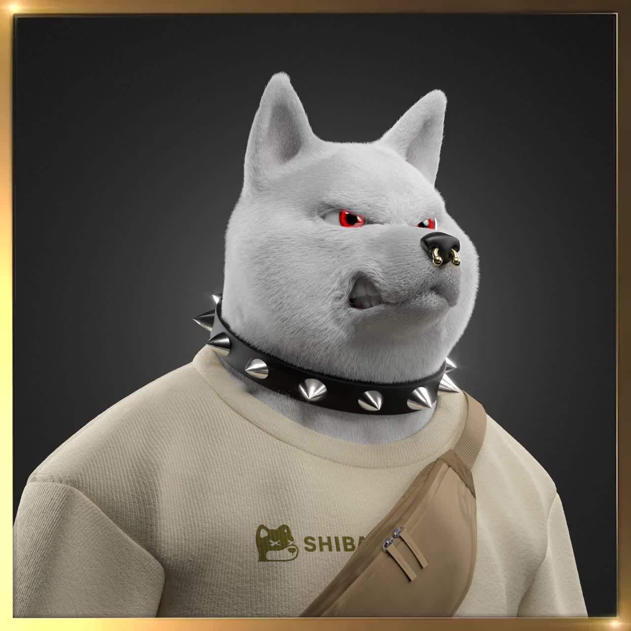 Shiba #6789