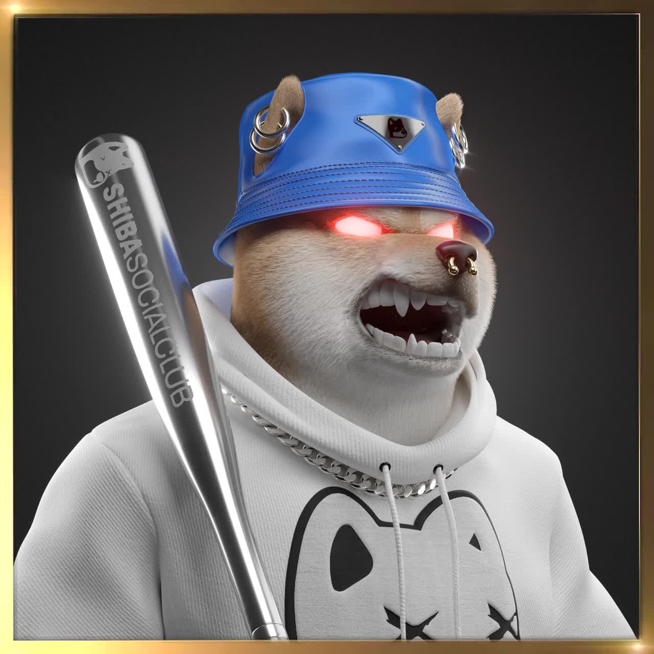 Shiba #6812