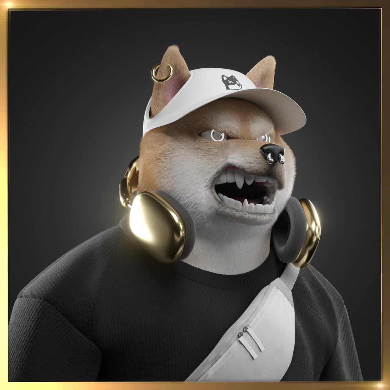 Shiba #6825