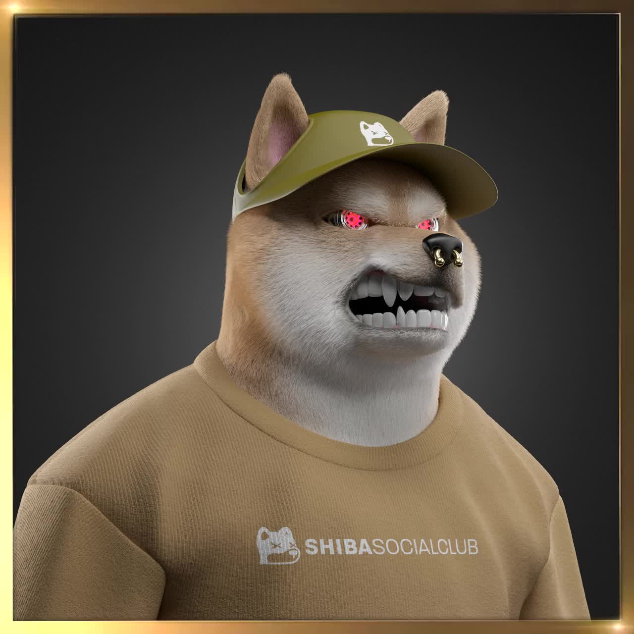 Shiba #6838