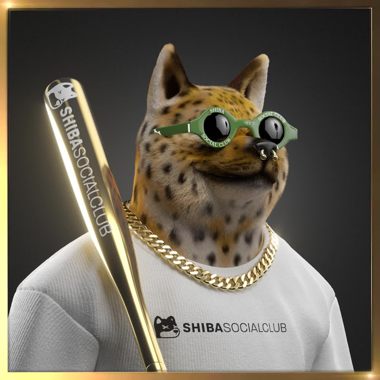 Shiba #6868