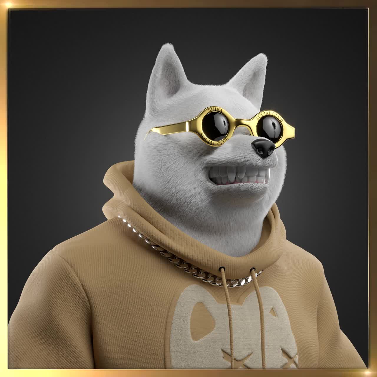 Shiba #6899