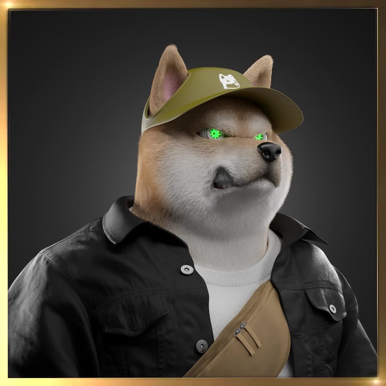 Shiba #6909
