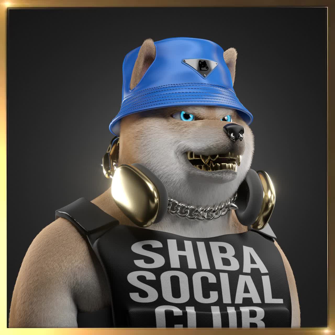 Shiba #6924