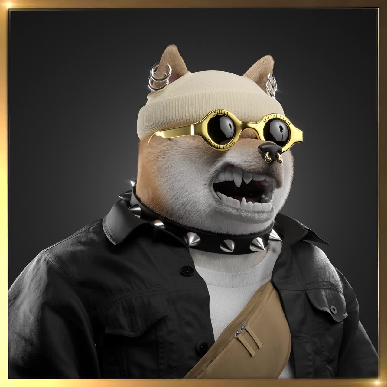 Shiba #6931