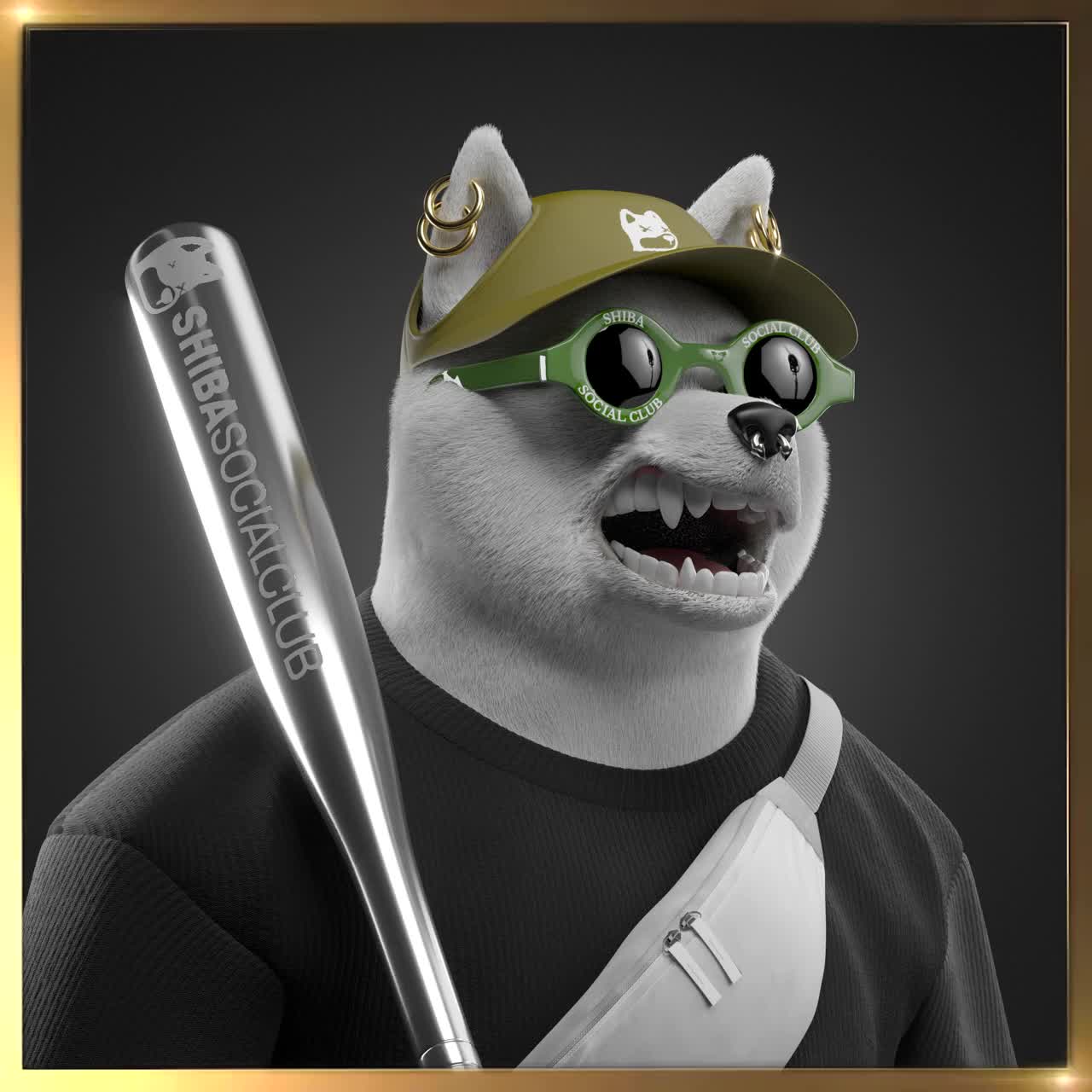 Shiba #7045