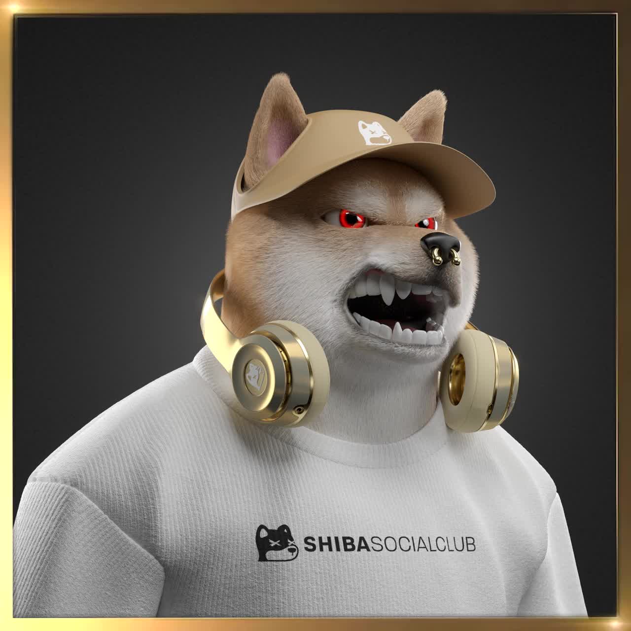 Shiba #7054