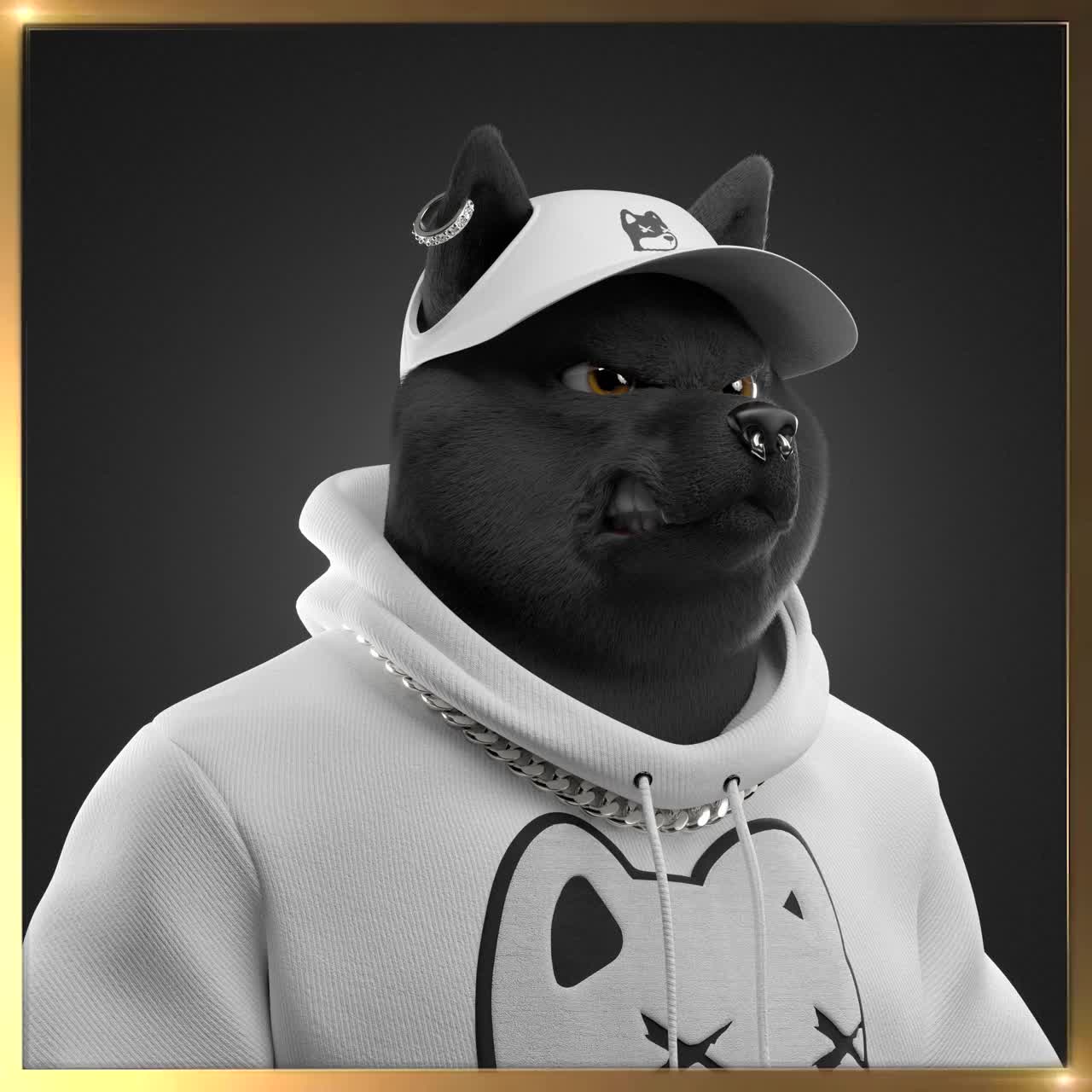 Shiba #7174