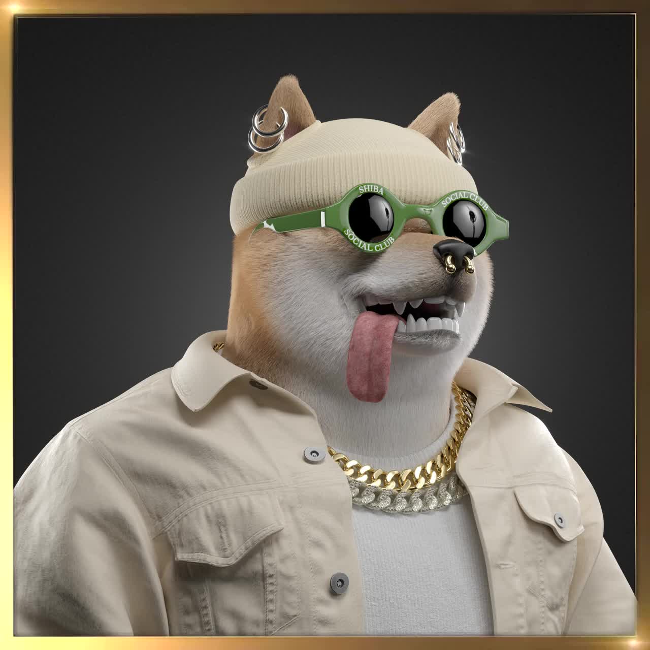 Shiba #7198