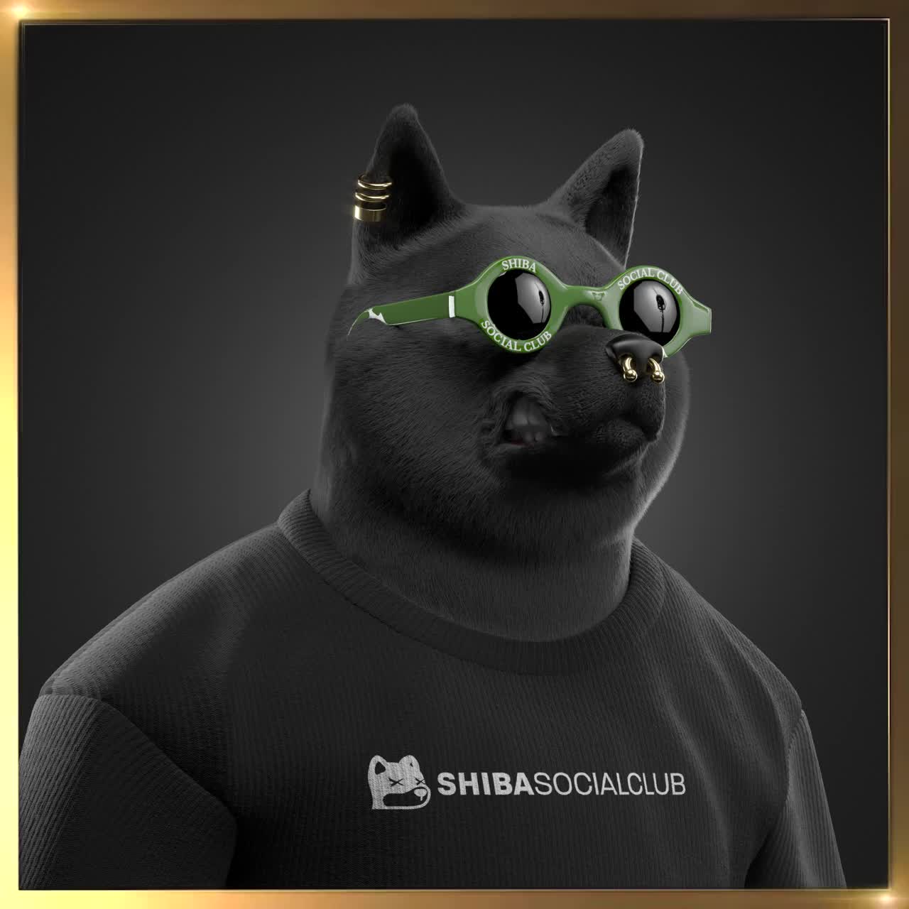 Shiba #7201