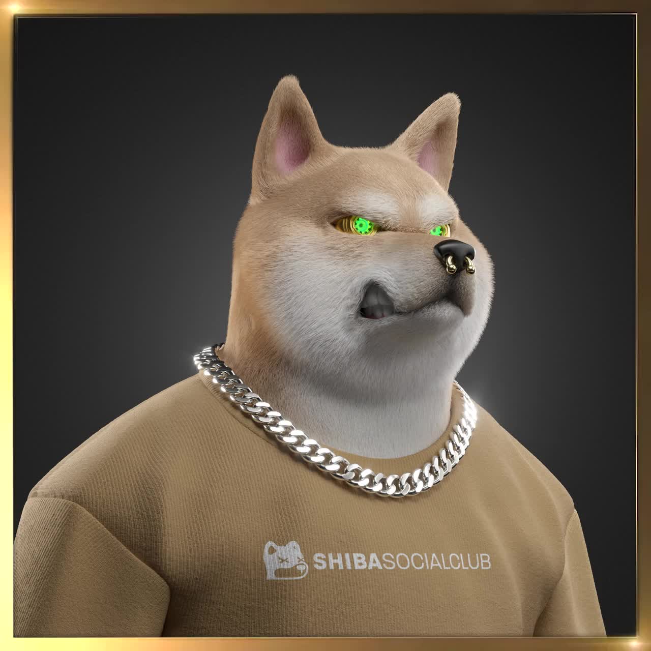 Shiba #7220