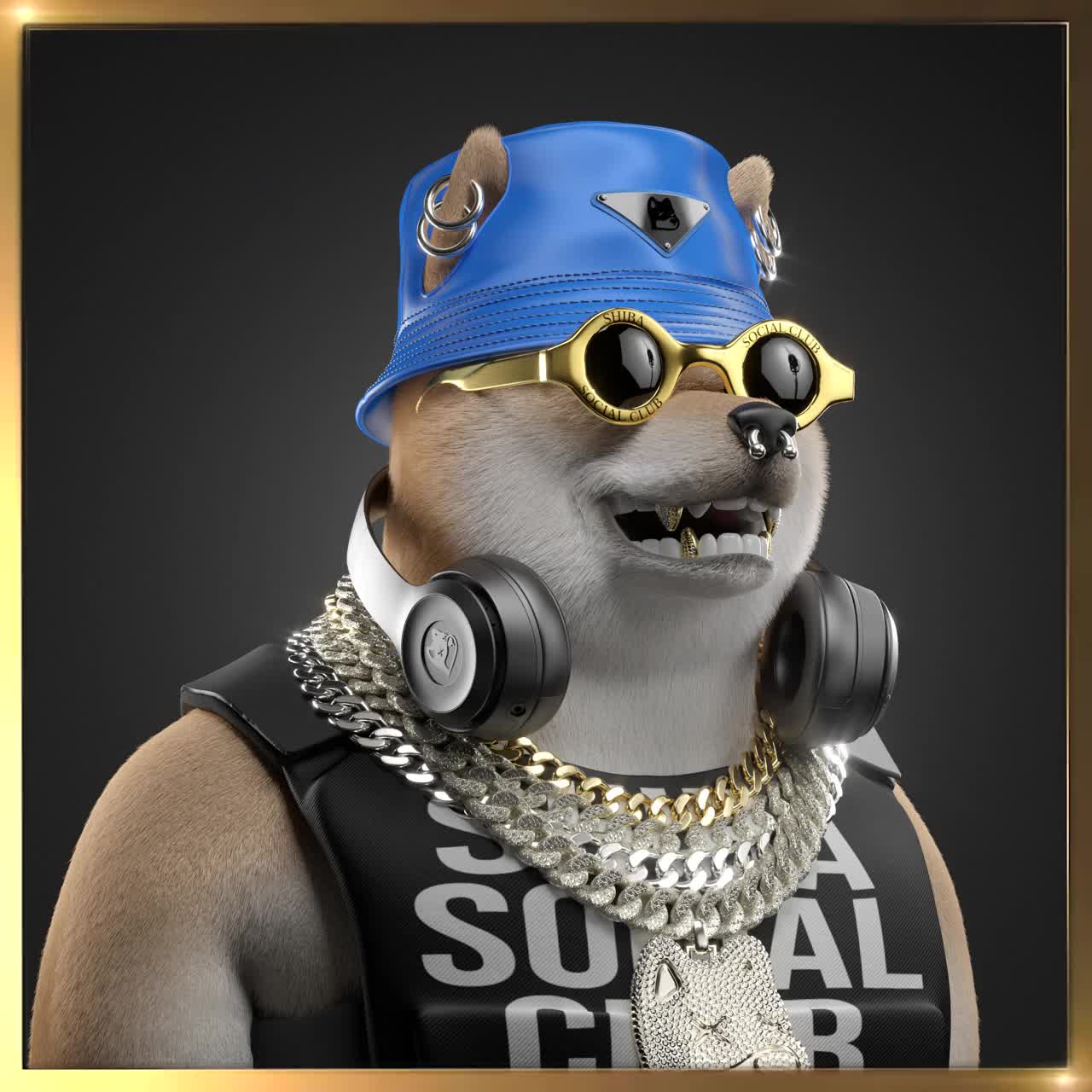 Shiba #7352