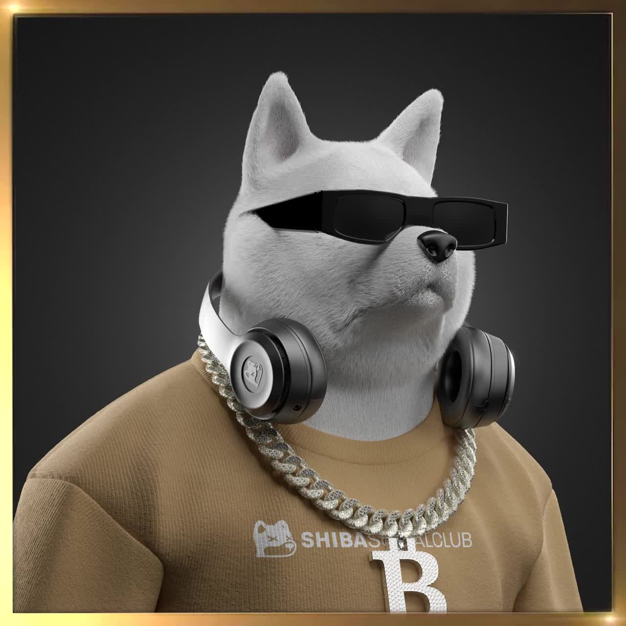 Shiba #7363