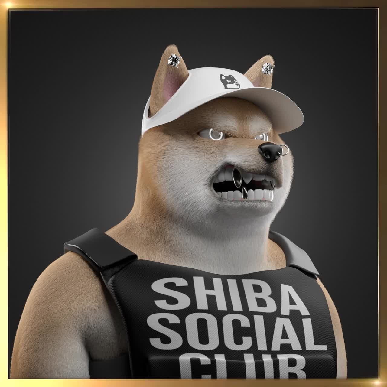 Shiba #7539