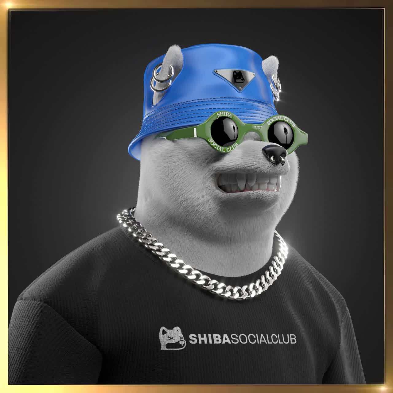 Shiba #7582