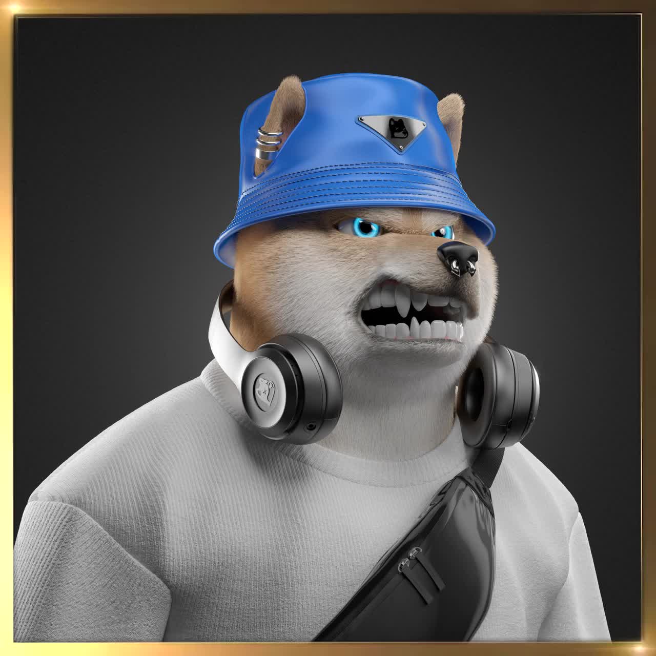 Shiba #7585
