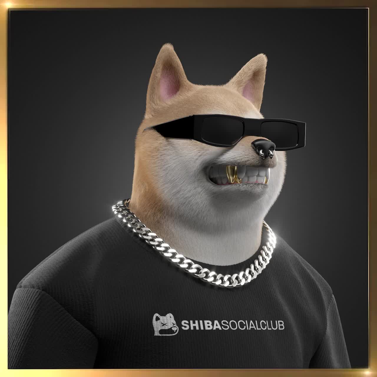 Shiba #7593