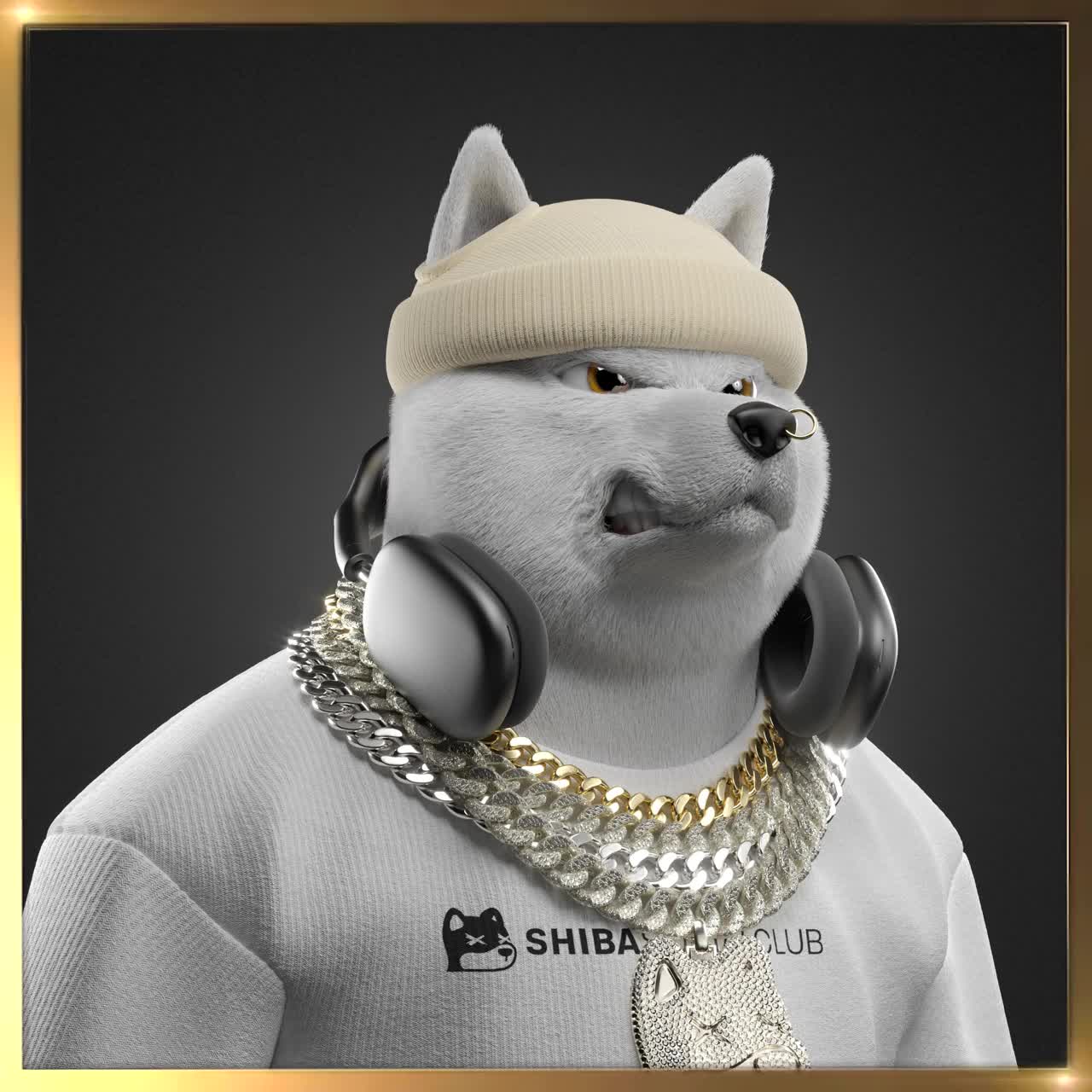 Shiba #7641