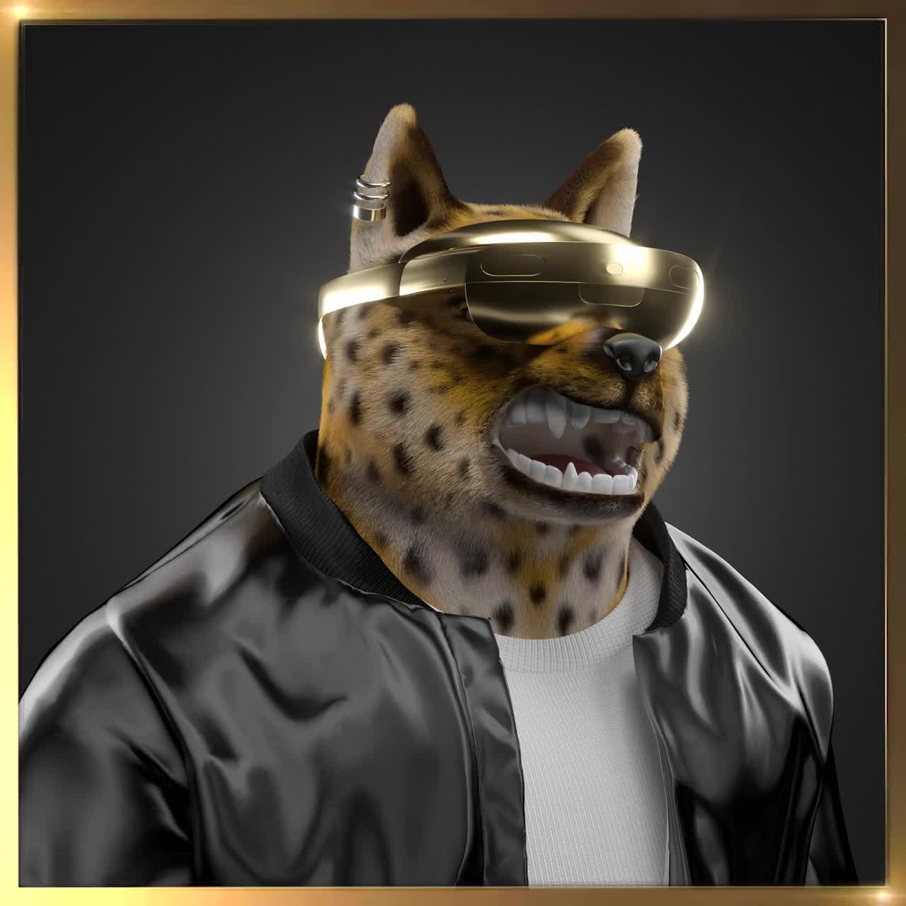 Shiba #7662